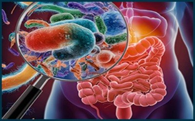 Gut Vita cleansing step to reduce bloating and improve digestion